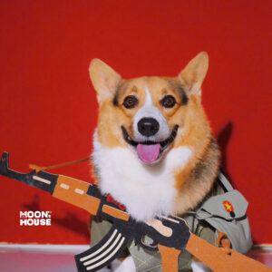 Gói chụp ảnh (Concept 4)