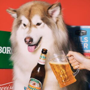 Gói chụp ảnh (Concept 5)