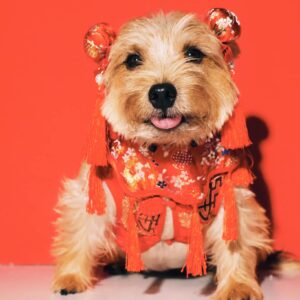 Gói chụp ảnh (Concept 3)