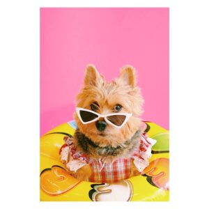 Gói chụp ảnh (Concept 1)